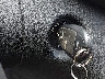 1C3CDFBB9GD****** Salvamento 2016 Dodge Dart en Estado de Pennsylvania