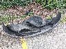5FNYF3H47FB****** Destrozados 2015 Honda Pilot en Estado de Florida