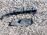 1FTFW1ET9DF****** Wrecked 2013 Ford F-150 in California State