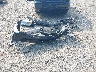 3VWDZ7AJ0BM****** Destrozados 2011 Volkswagen Jetta en Estado de Ohio