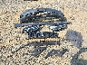 WBA5R1C59KA****** Destrozados 2019 BMW 330i en Estado de Virginia