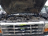 1FTEF14NXSN****** Repairable 1995 Ford F-150 in Syracuse