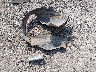 1FADP3J21JL****** Wrecked 2018 Ford Focus in Kansas State