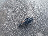 1G1BE5SM3J7****** Wrecked 2018 Chevrolet Cruze in Ohio State
