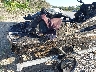 KAW5048***** Wrecked 2020 Kawasaki Jet Ski Stx in Florida State
