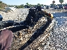 KAW5048***** Used 2020 Kawasaki Jet Ski Stx in Florida State