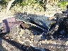 KAW5048***** Wrecked 2020 Kawasaki Jet Ski Stx in Tampa