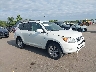 JTMBD31V985****** Salvage and Wrecked 2008 Toyota RAV4 in Cleveland