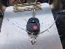 2T3RFREV8EW****** Salvamento 2014 Toyota RAV4 en Estado de Ohio