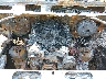 3GCUKTEC4GG****** Reparables 2016 Chevrolet Silverado 1500 en Nashville