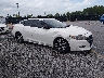 1N4AA6AP6HC****** Salvage and Wrecked 2017 Nissan Maxima in Lexington