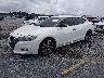 1N4AA6AP6HC****** Used and Repairable 2017 Nissan Maxima in Lexington