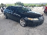 19UUA66236A****** Salvage and Wrecked 2006 Acura TL in Tampa