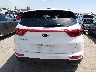 KNDPMCAC5K7****** Salvage 2019 Kia Sportage