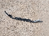 3C6UR5CJ2LG****** Salvage 2020 RAM 2500 in Texas State
