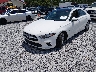 WDD3G4EB6KW****** Used and Repairable 2019 Mercedes-Benz A-Class in Mobile