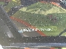 WMW23GX03T2****** Used 2026 MINI Cooper in Raleigh
