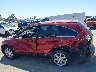 JHLRE38798C****** Salvage 2008 Honda CR-V