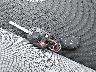 1FAHP3F23CL****** Salvage 2012 Ford Focus in Michigan State