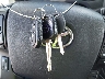 3TYRX5GN4NT****** Salvage 2022 Toyota Tacoma in Florida State