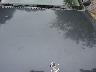 KMHCN46CX8U****** Salvage and Repairable 2008 Hyundai Accent in Wisconsin State