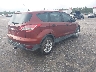 1FMCU0F78FU****** Salvamento y Destrozados 2015 Ford Escape en Estado de Florida