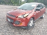 1FMCU0F78FU****** Salvamento y Reparables 2015 Ford Escape en Estado de Florida