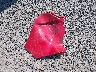 WVWHV7AJ9AW****** Wrecked 2010 Volkswagen GTI in Washington State