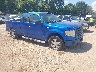 1FTEX1CW4AF****** Salvage and Wrecked 2010 Ford F-150 in Longview