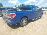 1FTEX1CW4AF****** Salvage and Wrecked 2010 Ford F-150 in Texas State