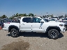 3TYCZ5AN4PT****** Wrecked 2023 Toyota Tacoma