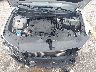 5NMJE3DE8RH****** Repairable 2024 Hyundai Tucson in West Palm Beach