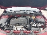 1G1ZE5ST5HF****** Reparables 2017 Chevrolet Malibu en Houston