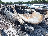 2HKRW2H81KH****** Salvamento y Destrozados 2019 Honda CR-V en Culpeper