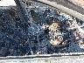 2HKRW2H81KH****** Usados y Reparables 2019 Honda CR-V en Estado de Virginia