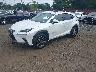 JTJBARBZ5J2****** Usados y Reparables 2018 Lexus NX en Sayreville