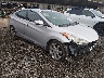 KMHDH4AE7DU****** Salvage and Wrecked 2013 Hyundai Elantra in Columbus