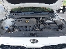 3KPF24ADXKE****** Repairable 2019 Kia Forte in Tampa