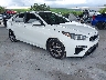 3KPF24ADXKE****** Salvage and Wrecked 2019 Kia Forte in Tampa