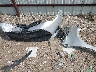2T1BURHE1JC****** Destrozados 2018 Toyota Corolla en Estado de Texas