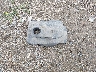 KNDPM3AC6N7****** Wrecked 2022 Kia Sportage in Ohio State