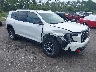 1GKENPKS4RJ****** Salvage and Wrecked 2024 GMC Acadia in Jacksonville