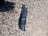 1C4HJXDG9MW****** Wrecked 2021 Jeep Wrangler in Ohio State
