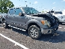 1FTFW1EF3DK****** Salvage and Wrecked 2013 Ford F-150 in Nashville