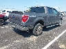1FTFW1EF3DK****** Salvage and Wrecked 2013 Ford F-150 in Tennessee State