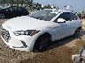 5NPD84LF5HH****** Repairable 2017 Hyundai Elantra in Washington State