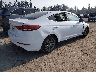 5NPD84LF5HH****** Salvage and Wrecked 2017 Hyundai Elantra in Washington State