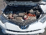 JTMRJREV7GD****** Reparables 2016 Toyota RAV4 Hybrid en Portland