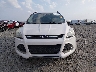 1FMCU0GX7GU****** Wrecked 2016 Ford Escape in Arkansas State