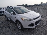 1FMCU0GX7GU****** Salvage and Wrecked 2016 Ford Escape in Little Rock